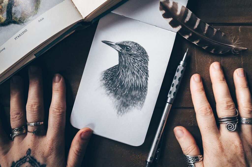 hands of a person drawing a black and white picture of a bird